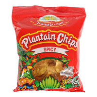 TG Plantain Kochbananen Chips spicy 20x85g